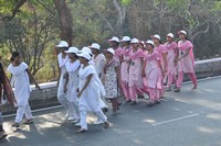 Balakrishna at Cancer Awareness 2013 Photos